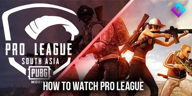 PUBG Pro League PUBG Pro League