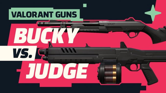 shotguns