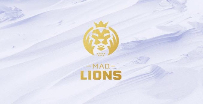 MAD Lions