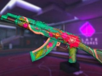 CS2 Skins