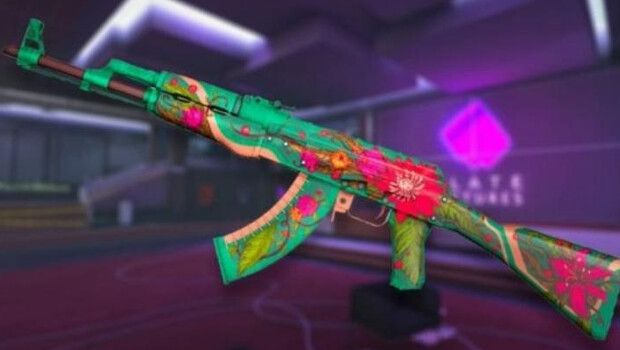 CS2 Skins